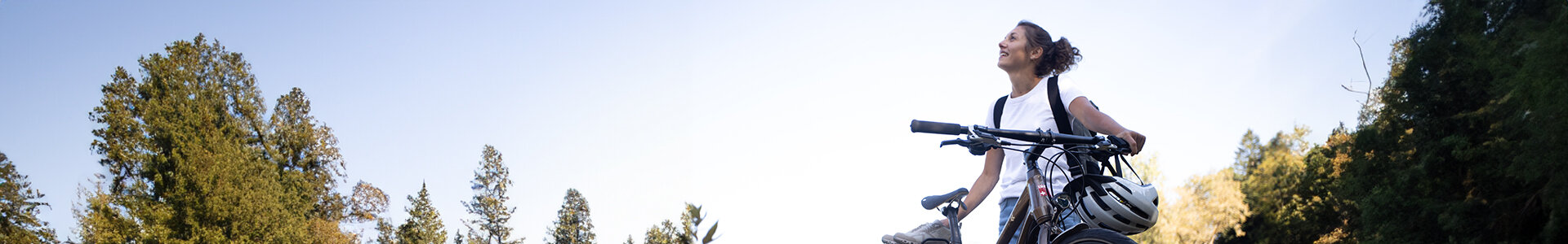 City- und Trekking Bikes