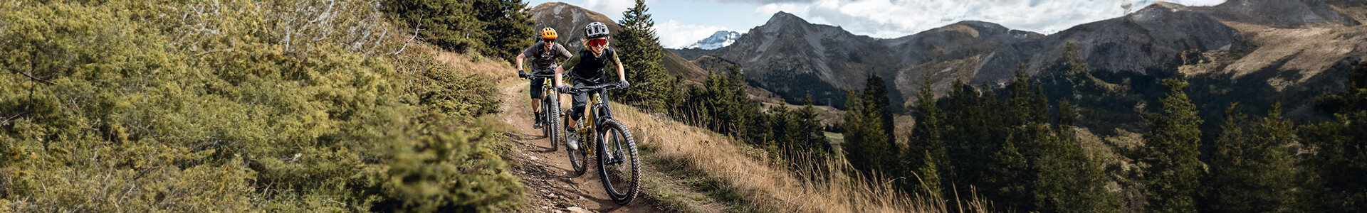 All Mountain und Touren Fullys