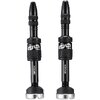 Ethirteen Tubelessventil Quickfill Gen2 Aluminium 2 Stk. 23-31mm, Schwarz  Black 23-31 mm