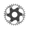 Sram Chainring XX Eagle AXS Transmission FAZUA Direct Mount 32T black/silver